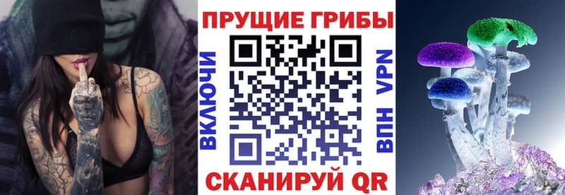 Псилоцибиновые грибы Psilocybe  Володарск 