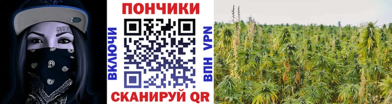 где купить наркоту  Володарск  Каннабис планчик 